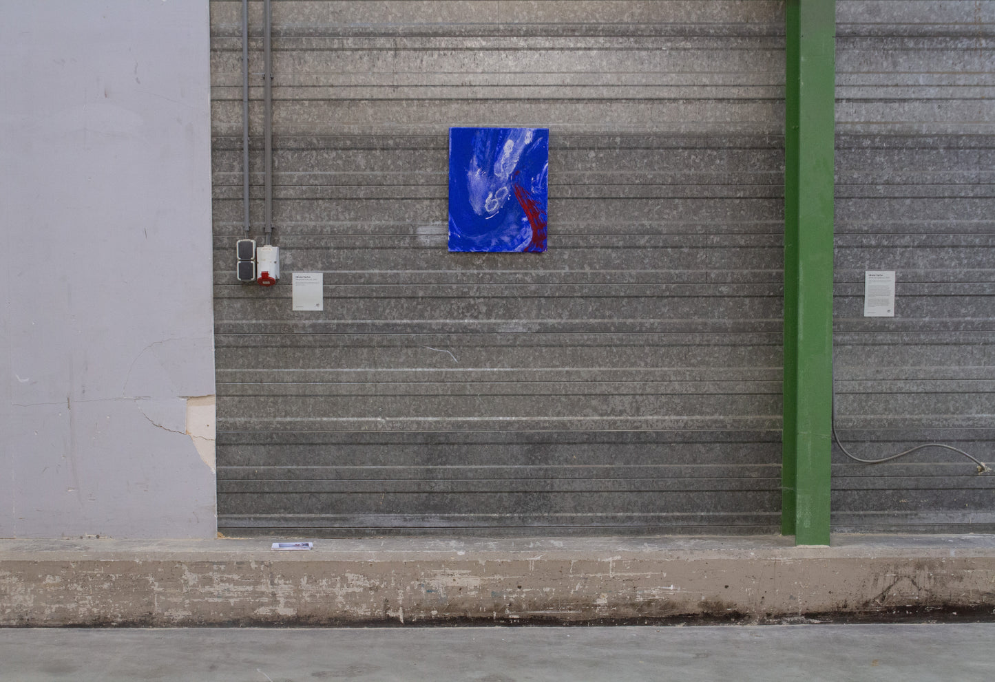 Fuzzball gets a lick, 2025